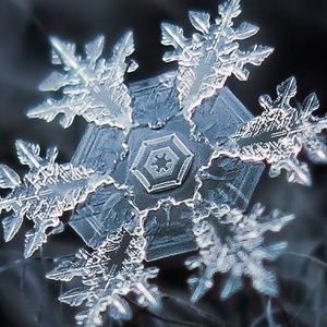 Meet your Posher, Cathylia